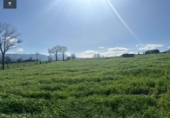 Finca rústica en venda a la España, Villacarriedo, ref.: TR224825 foto