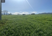 Finca rústica en venda a la España, Villacarriedo, ref.: TR224825 foto