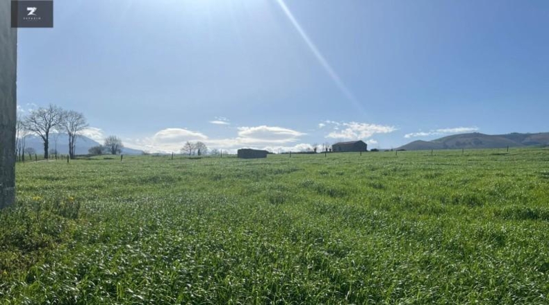 Cantabria - Villacarriedo - 22106m2