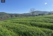 Finca rústica en venda a la España, Villacarriedo, ref.: TR224825 foto