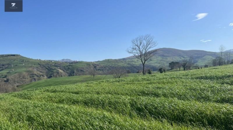 Cantabria - Villacarriedo - 22106m2
