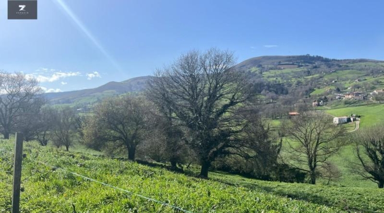 Cantabria - Villacarriedo - 22106m2