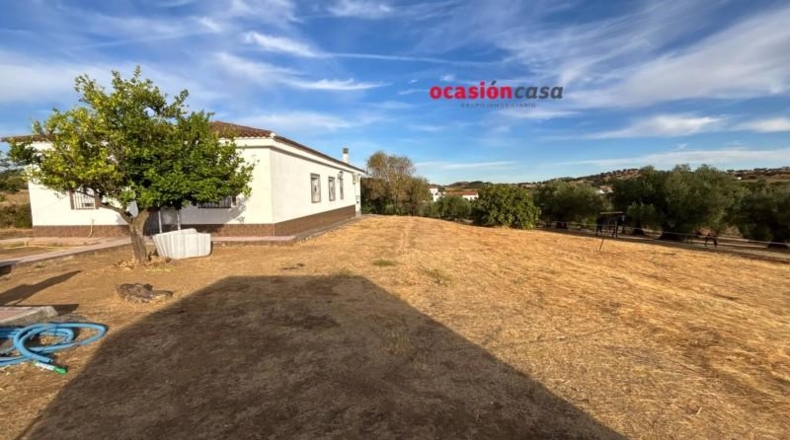 Córdoba - Belmez - 13300m2