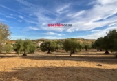 Casa con terreno en venta en la España, Belmez, ref: TR355389 foto