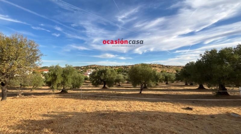 Córdoba - Belmez - 13300m2
