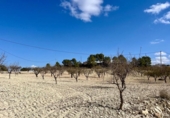 Parcel·la urbanitzable en venda a la España, Bullas, ref.: TR335212 foto