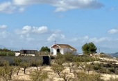Parcel·la urbanitzable en venda a la España, Bullas, ref.: TR335212 foto