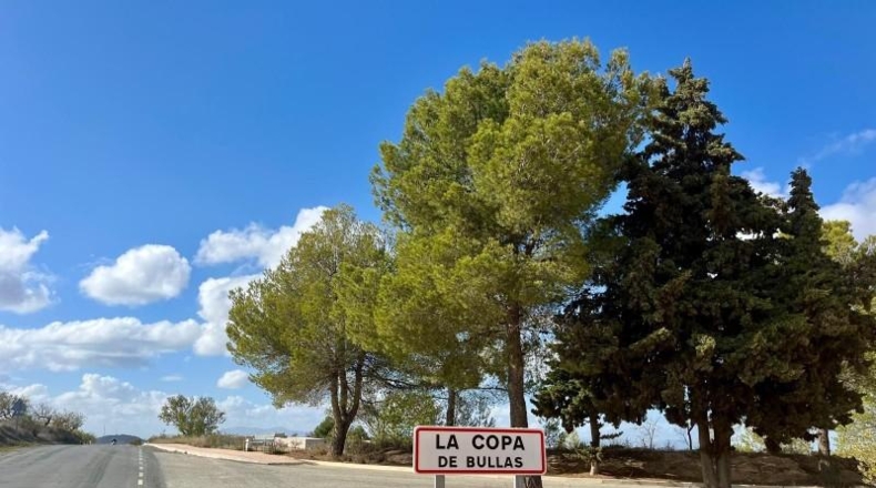 Múrcia - Bullas - 71641m2