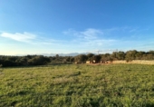 Xalet independent amb terreny en venda a la España, Sineu, ref.: TR218528 foto