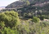 Sòl urbà en venda a la España, Dénia, ref.: TR241584 foto