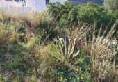 Sòl urbà en venda a la España, Dénia, ref.: TR241584 foto