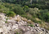 Sòl urbà en venda a la España, Dénia, ref.: TR241584 foto