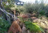 Sòl urbà en venda a la España, Dénia, ref.: TR241584 foto