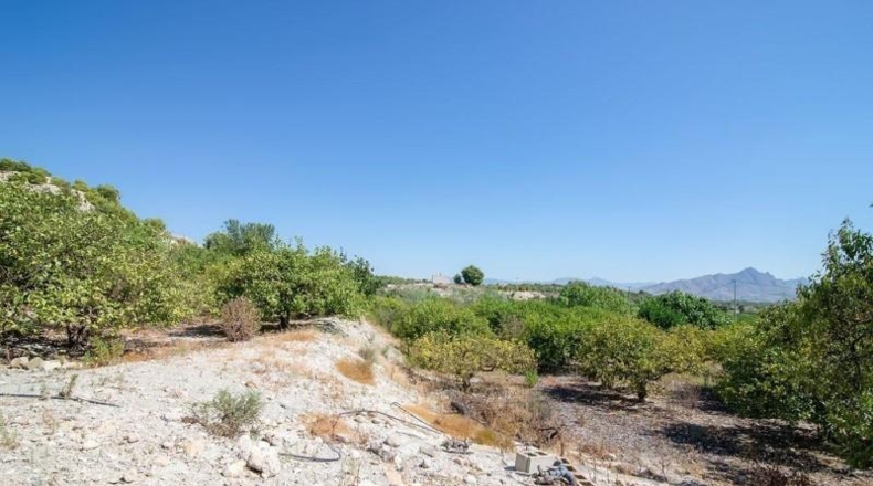 Múrcia - Abanilla - 11262m2