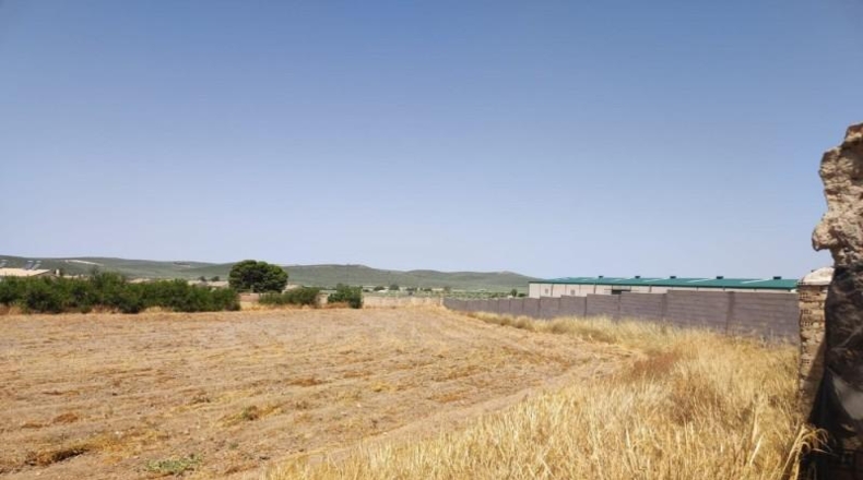 Seville - Aguadulce - 172m2