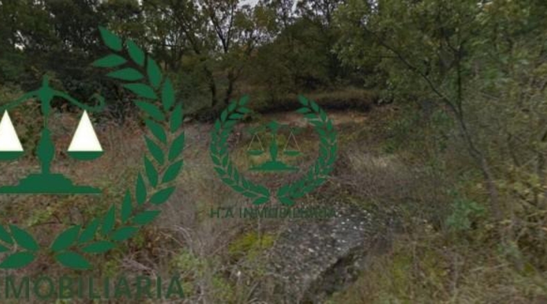 Comunidad de Madrid - Guadalix de la Sierra - 1193m2