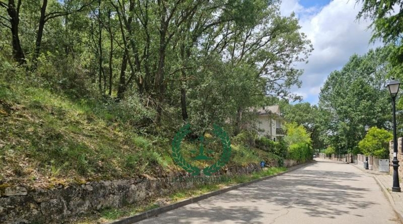 Comunidad de Madrid - Guadalix de la Sierra - 1193m2