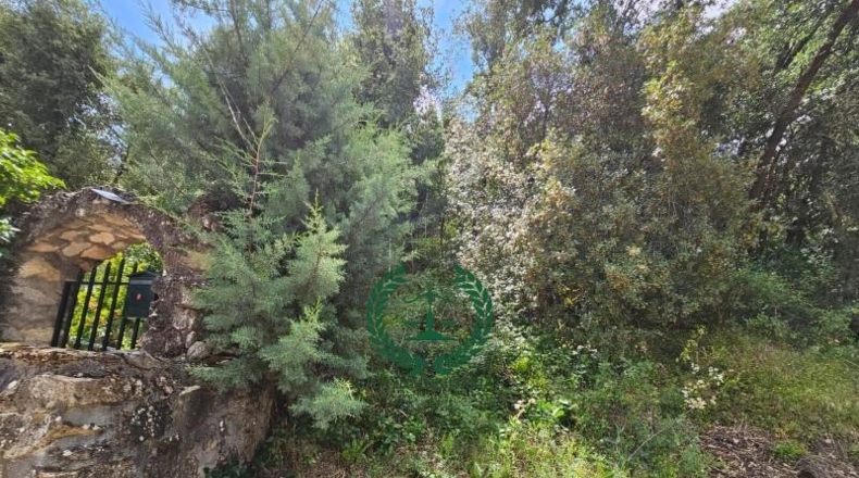 Comunidad de Madrid - Guadalix de la Sierra - 1193m2