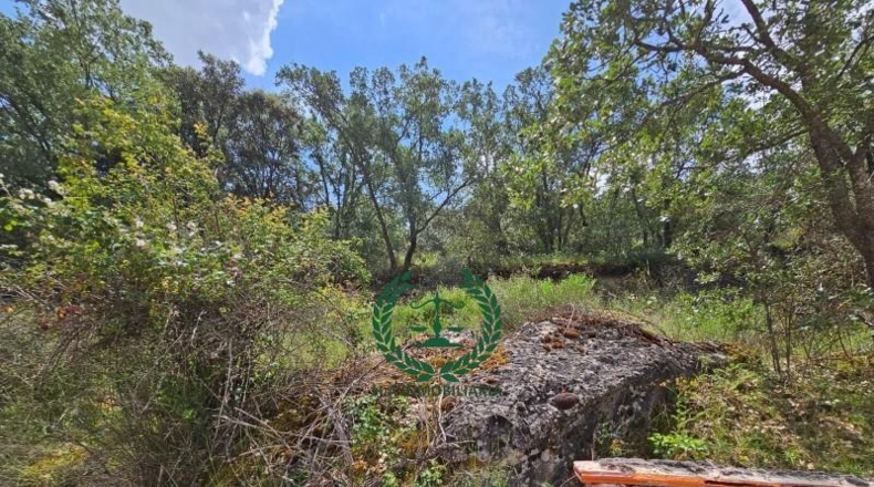 Comunidad de Madrid - Guadalix de la Sierra - 1193m2