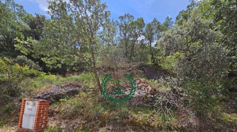 Comunidad de Madrid - Guadalix de la Sierra - 1193m2