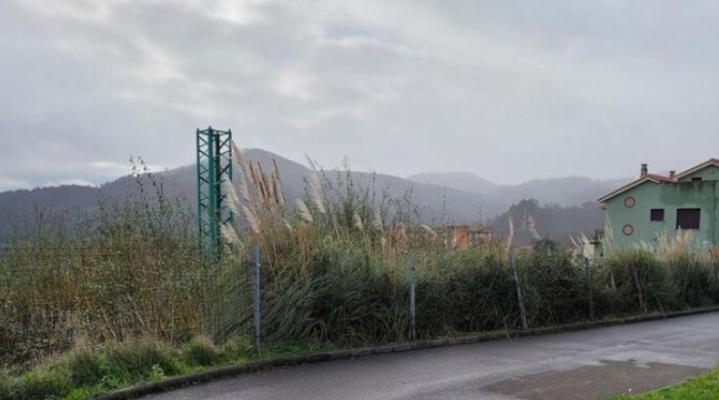 Asturias - Muros de Nalón - 1763m2