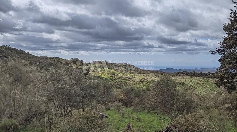 Malaga - Periana - 25164m2