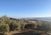 Земля на продажу у города Periana Фото