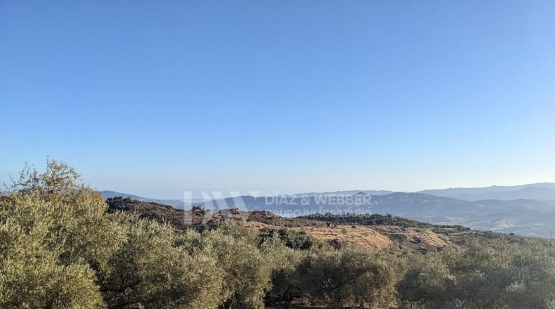 Malaga - Periana - 25164m2