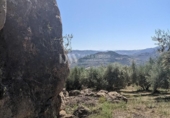Земля на продажу у города Periana Фото