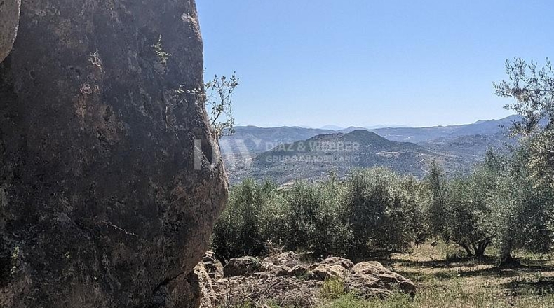 Malaga - Periana - 25164m2