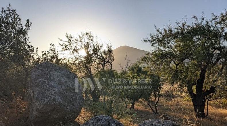 Malaga - Periana - 25164m2