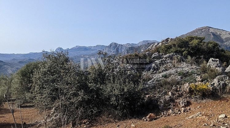 Malaga - Periana - 25164m2