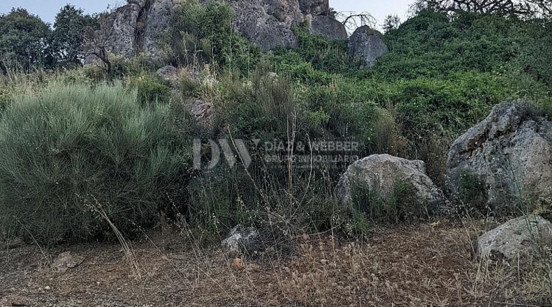 Malaga - Periana - 25164m2