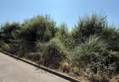 Parcel·la urbanitzable en venda a la España, Muros de Nalón, ref.: TR318803 foto