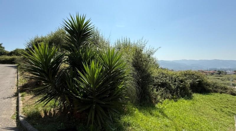 Asturias - Мурос-де-Налон - 1763m2