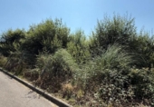 Parcel·la urbanitzable en venda a la España, Muros de Nalón, ref.: TR318803 foto