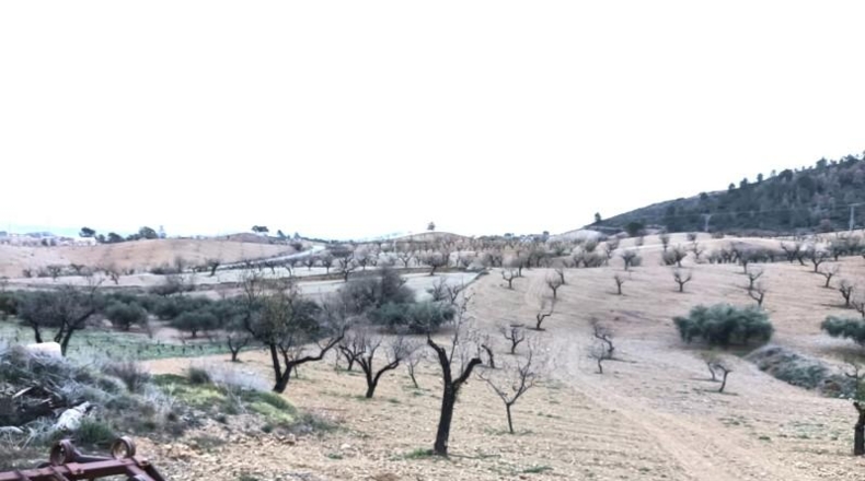 Murcia - Lorca - 245000m2