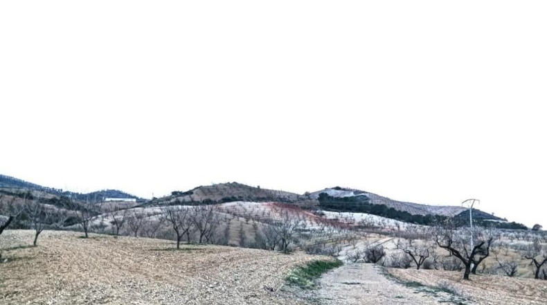 Murcia - Lorca - 245000m2