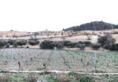 Terreny no urbanitzable en venda a la España, Lorca, ref.: TR255175 foto