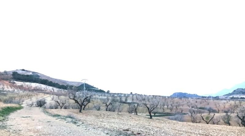 Murcia - Lorca - 245000m2
