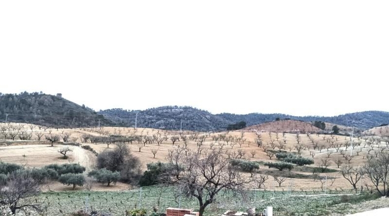 Murcia - Lorca - 245000m2