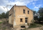 Non-developable land for sale on España, l'Ametlla de Mar, ref: TR361999 photo