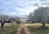 Non-developable land for sale on España, l'Ametlla de Mar, ref: TR361999 photo