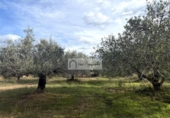 Non-developable land for sale on España, l'Ametlla de Mar, ref: TR361999 photo