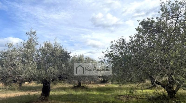 Tarragona - l'Ametlla de Mar - 144380m2