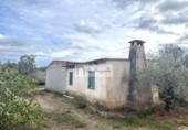 Non-developable land for sale on España, l'Ametlla de Mar, ref: TR361999 photo