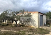 Non-developable land for sale on España, l'Ametlla de Mar, ref: TR361999 photo