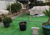 Casa de camp amb terreny en venda a la España, Los Baños de Mula, ref.: TR376517 foto