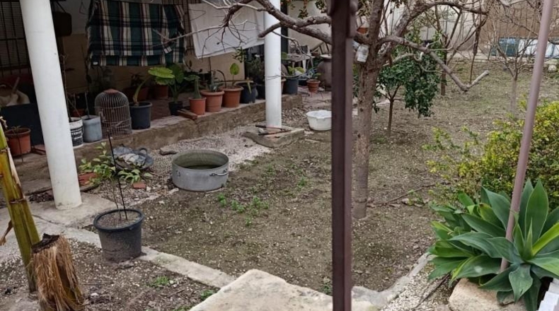 Murcia - Mula - 800m2