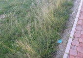 Suelo urbano en venta en la España, Bullas, ref: TR381753 foto
